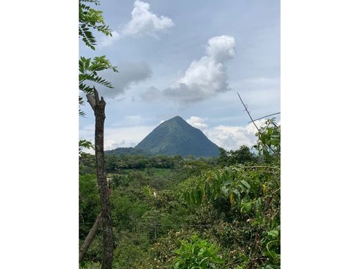 Участок, Venecia, Departamento de Antioquia