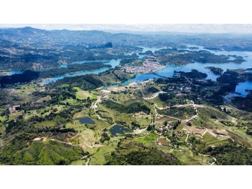 토지 / Guatapé, Departamento de Antioquia