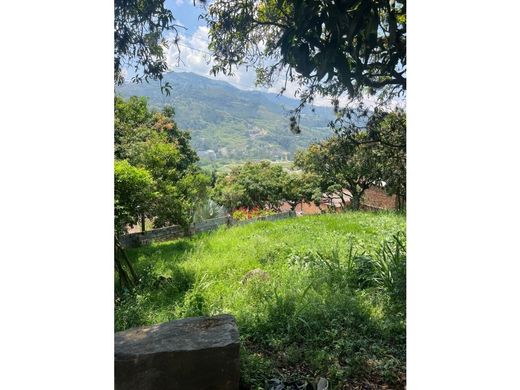Arsa Bello, Departamento de Antioquia