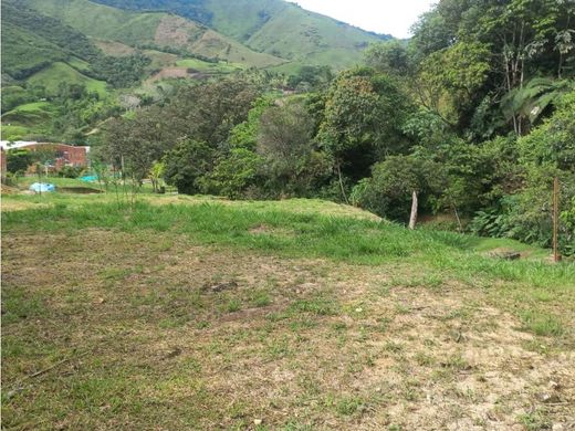 Terreno en Cisneros, Departamento de Antioquia