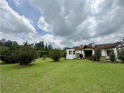 Gospodarstwo w Rionegro, Departamento de Antioquia