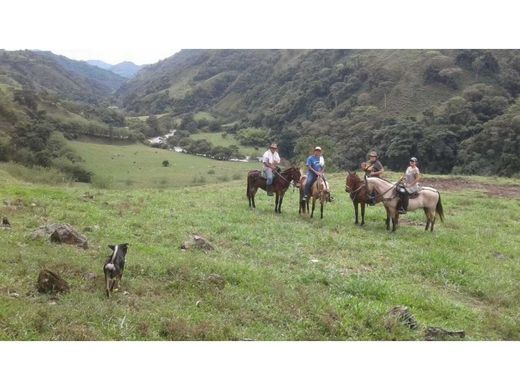 Gutshaus oder Landhaus in Abejorral, Departamento de Antioquia