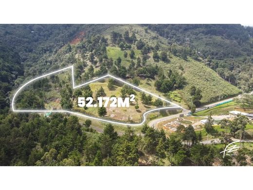 ‏קרקע ב  מדיין
, Medellín