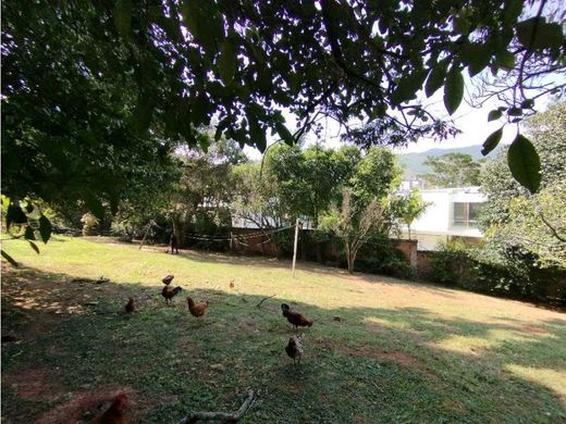 地皮  卡利, Cali