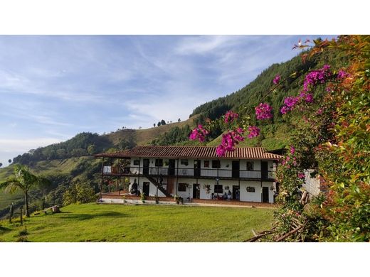 ﻣﻨﺰﻝ ﺭﻳﻔﻲ/ ﺑﻴﺖ ﻤﺰﺭﻋﺔ ﻓﻲ Abejorral, Departamento de Antioquia