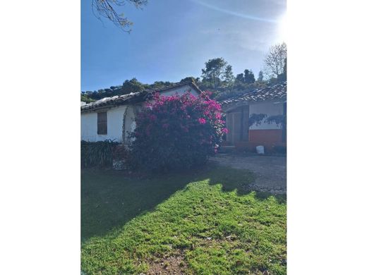 村舍/农舍  Guarne, Departamento de Antioquia