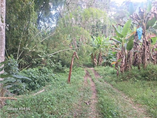 전원/농가 / Armenia, Quindío Department