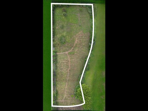 Arsa Montenegro, Quindío Department