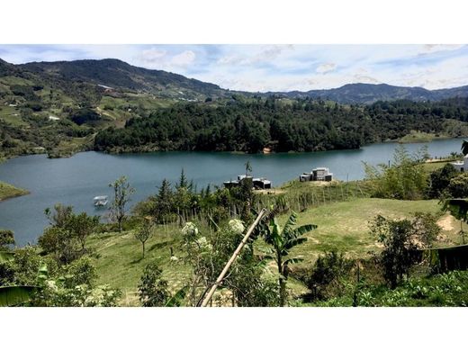 Guatapé, Departamento de Antioquiaのカントリー風またはファームハウス