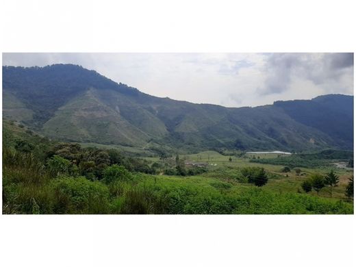 ‏בתים כפריים או חוות ב  Salgar, Departamento de Antioquia