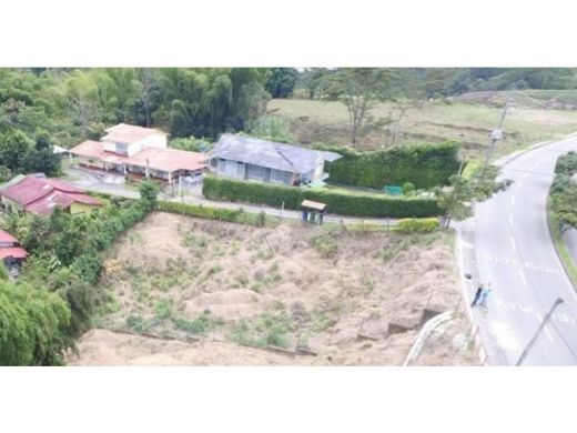 Arsa Armenia, Quindío Department