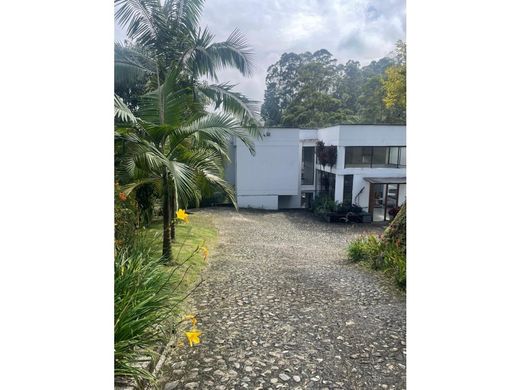 호화 저택 / 메데인, Medellín