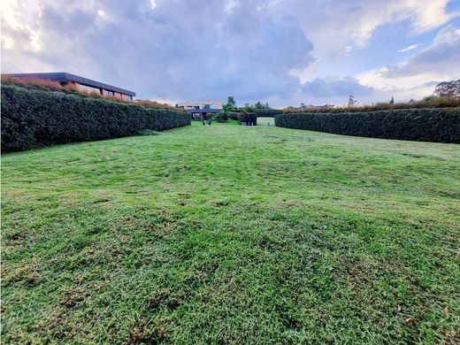 Land in Envigado, Departamento de Antioquia