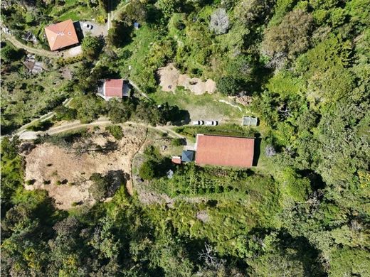 Terrain à Medellín, Departamento de Antioquia