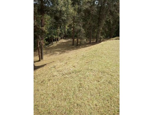 地皮  Envigado, Departamento de Antioquia