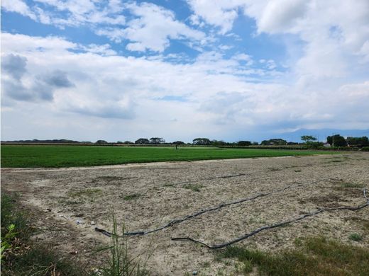 Land in Palmira, Departamento del Valle del Cauca