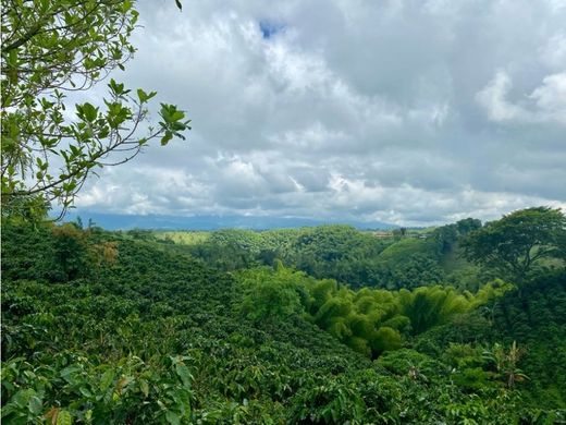 村舍/农舍  Montenegro, Quindío Department