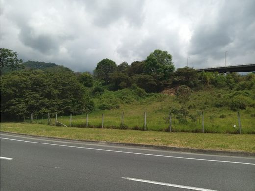 Terreno - Calarcá, Calarca