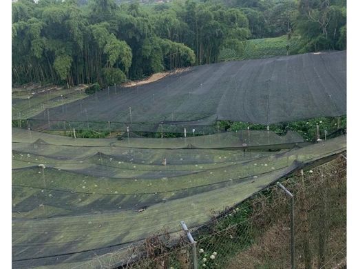 Farmhouse in Pereira, Departamento de Risaralda