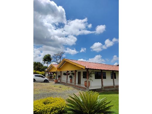 ﻣﻨﺰﻝ ﺭﻳﻔﻲ/ ﺑﻴﺖ ﻤﺰﺭﻋﺔ ﻓﻲ Quimbaya, Quindío Department