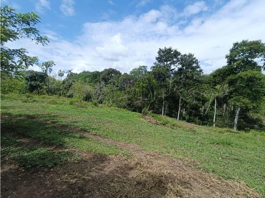 地皮  Montenegro, Quindío Department