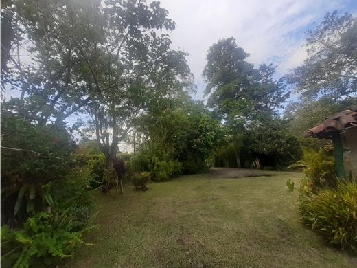 Quinta rústica - Rionegro, Departamento de Antioquia