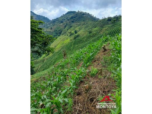 Rustik ya da çiftlik Santuario, Departamento de Risaralda