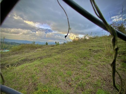 토지 / Guarne, Departamento de Antioquia