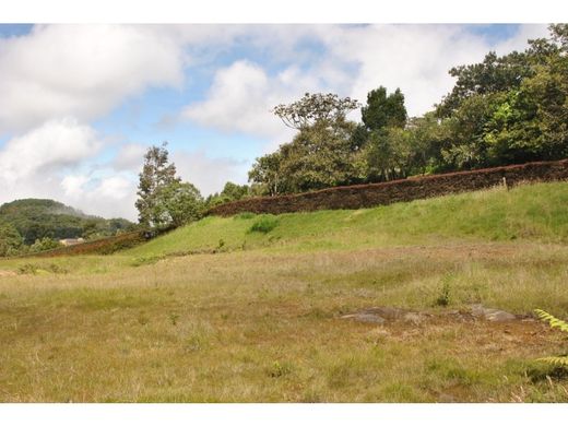 Arsa Envigado, Departamento de Antioquia