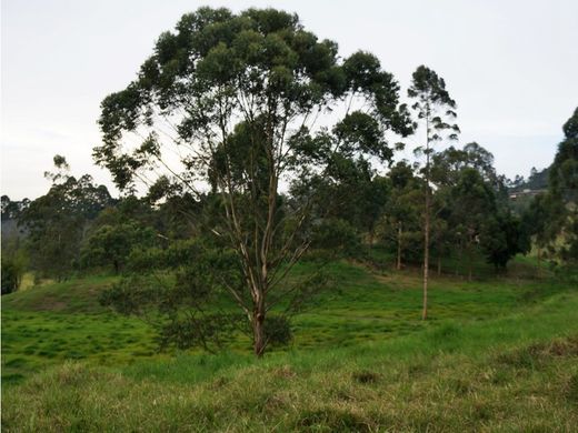 村舍/农舍  La Ceja, Departamento de Antioquia