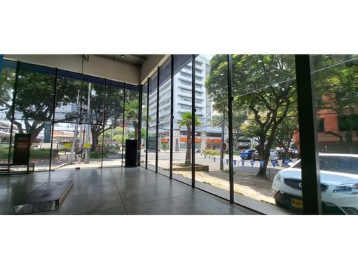 Luxury home in Santiago de Cali, Cali
