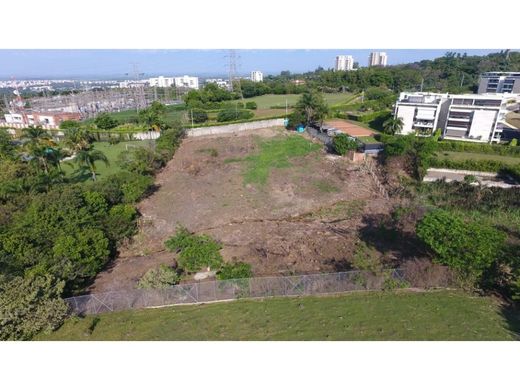 地皮  卡利, Cali