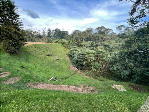 Teren w Copacabana, Departamento de Antioquia