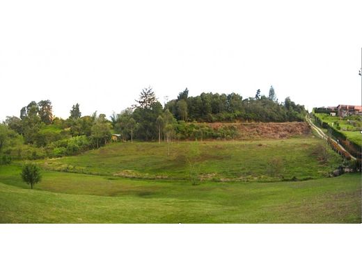 Terreno - Rionegro, Departamento de Antioquia