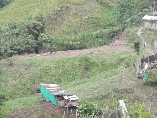 Terreno en Manizales, Departamento de Caldas
