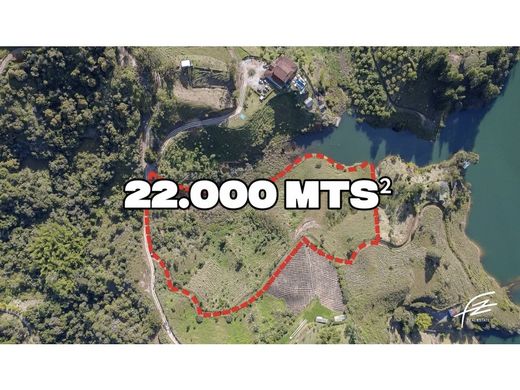 토지 / Guatapé, Departamento de Antioquia