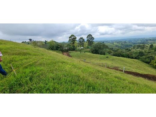 Arsa Filandia, Quindío Department