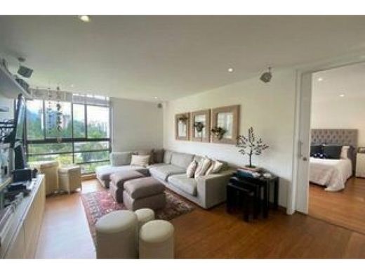 호화 저택 / 메데인, Medellín