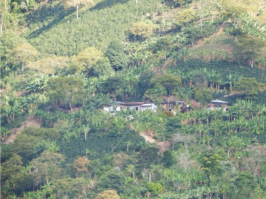 ‏בתים כפריים או חוות ב  Pijao, Quindío Department