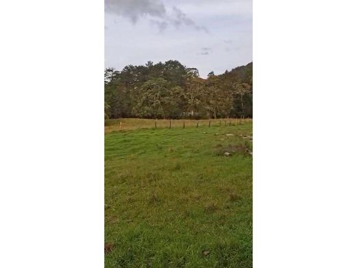 Участок, Rionegro, Departamento de Antioquia