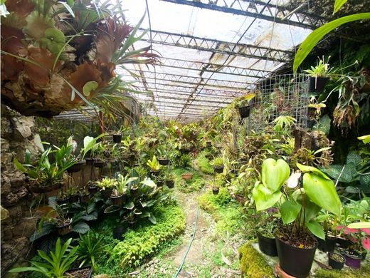 Maison de luxe à Bogotá, Bogotá  D.C.