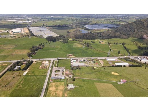 토지 / Cota, Departamento de Cundinamarca