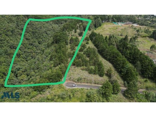 ‏קרקע ב  מדיין
, Medellín