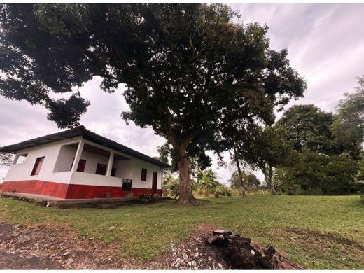 Ferme à La Tebaida, Quindío Department
