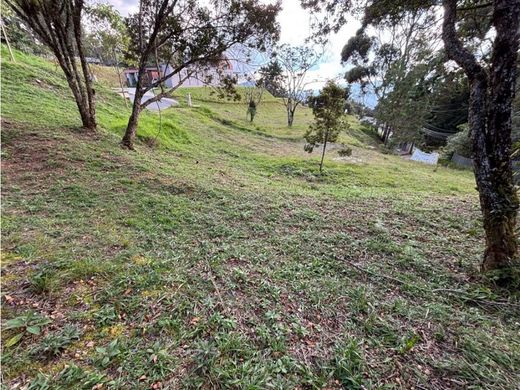 Arsa Envigado, Departamento de Antioquia