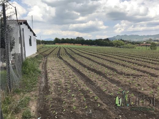 地皮  Cajicá, Departamento de Cundinamarca