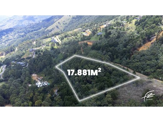 ‏קרקע ב  מדיין
, Medellín