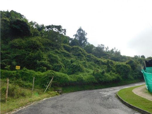 Arsa Manizales, Departamento de Caldas