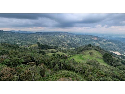 Rionegro, Departamento de Antioquiaの土地
