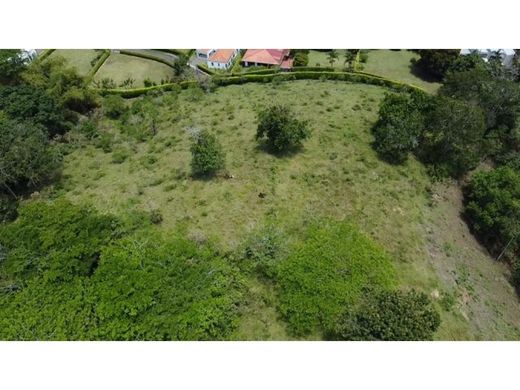 Grond in Pereira, Departamento de Risaralda